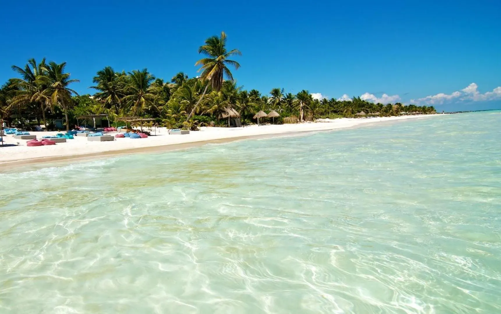 Aflora - Managed By Elite Alliance Tulum 0*,  Mexico
